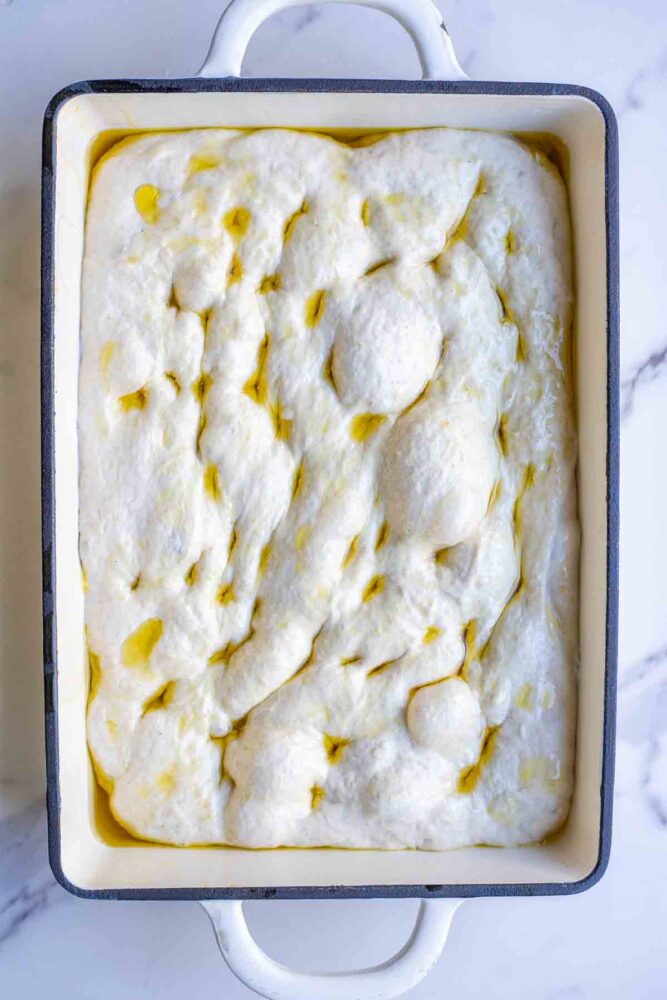 Risen sourdough discard focaccia dough risen, topped with olive oil and dimpled in.