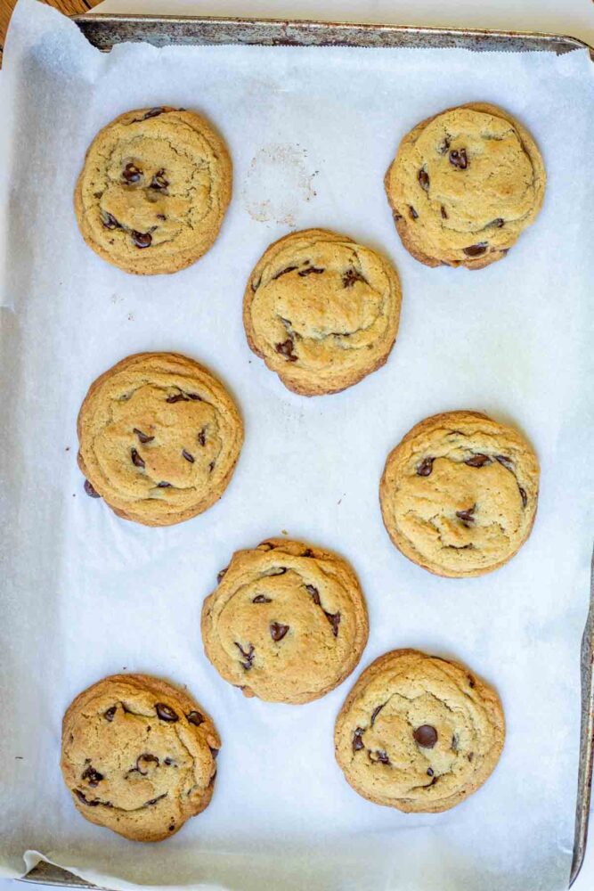 Thick and chewy sourdough chocolate chip cookies on a parchment lined baking sheet.