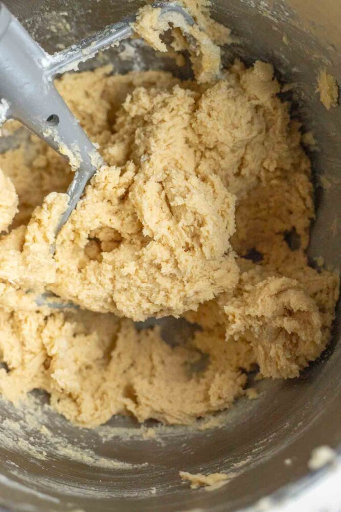 Sourdough sugar cookie dough in a bowl of a stand mixer.